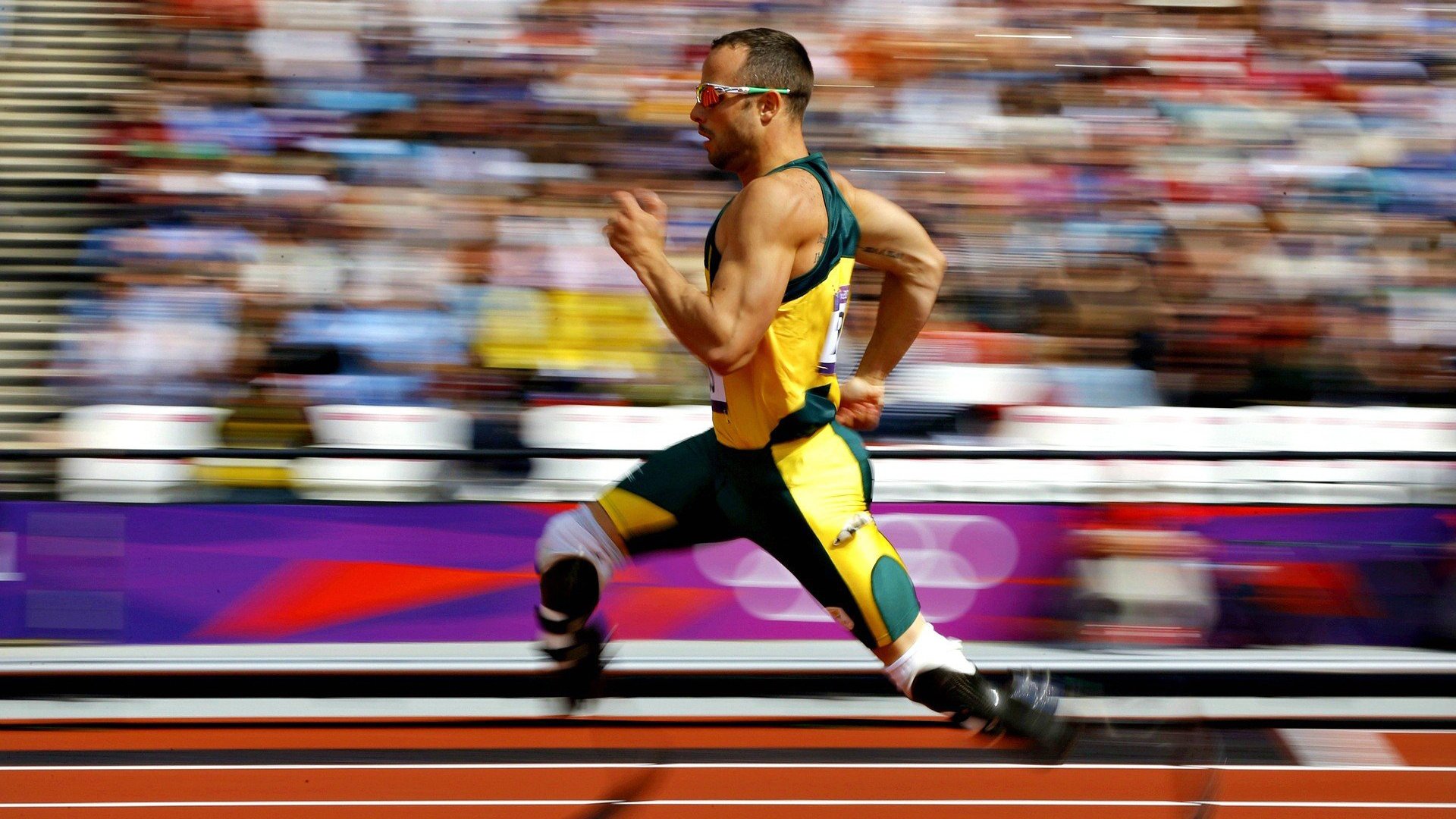 曹缘男子3米跳板决赛展现冠军风采，3米跳板冠军女子