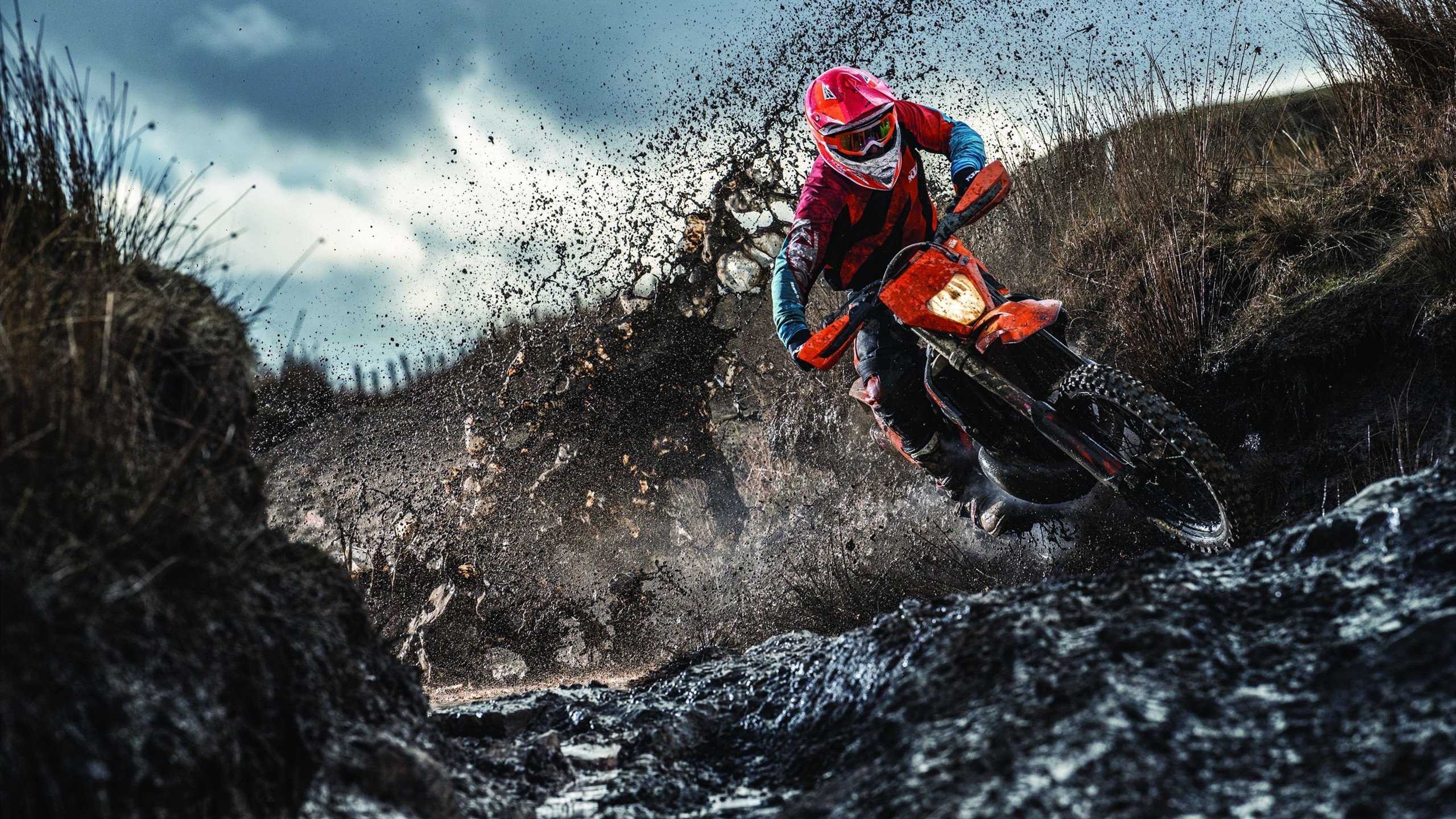 正式退出!全红婵宣布意外决定,退出全运会比赛,陈芋汐送祝福