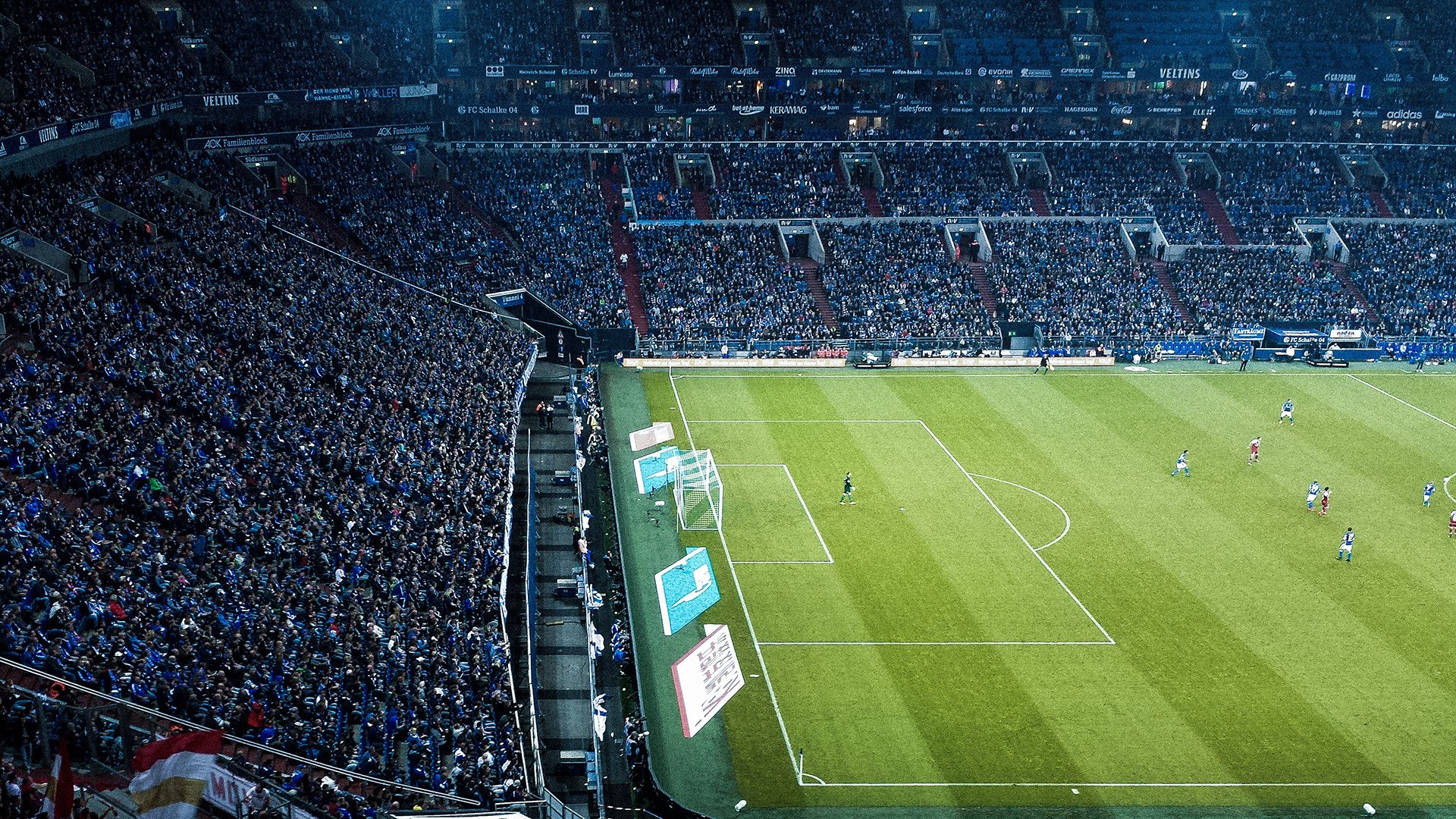 马拉松赛事环保倡议影响持续扩大，马拉松环保活动主题