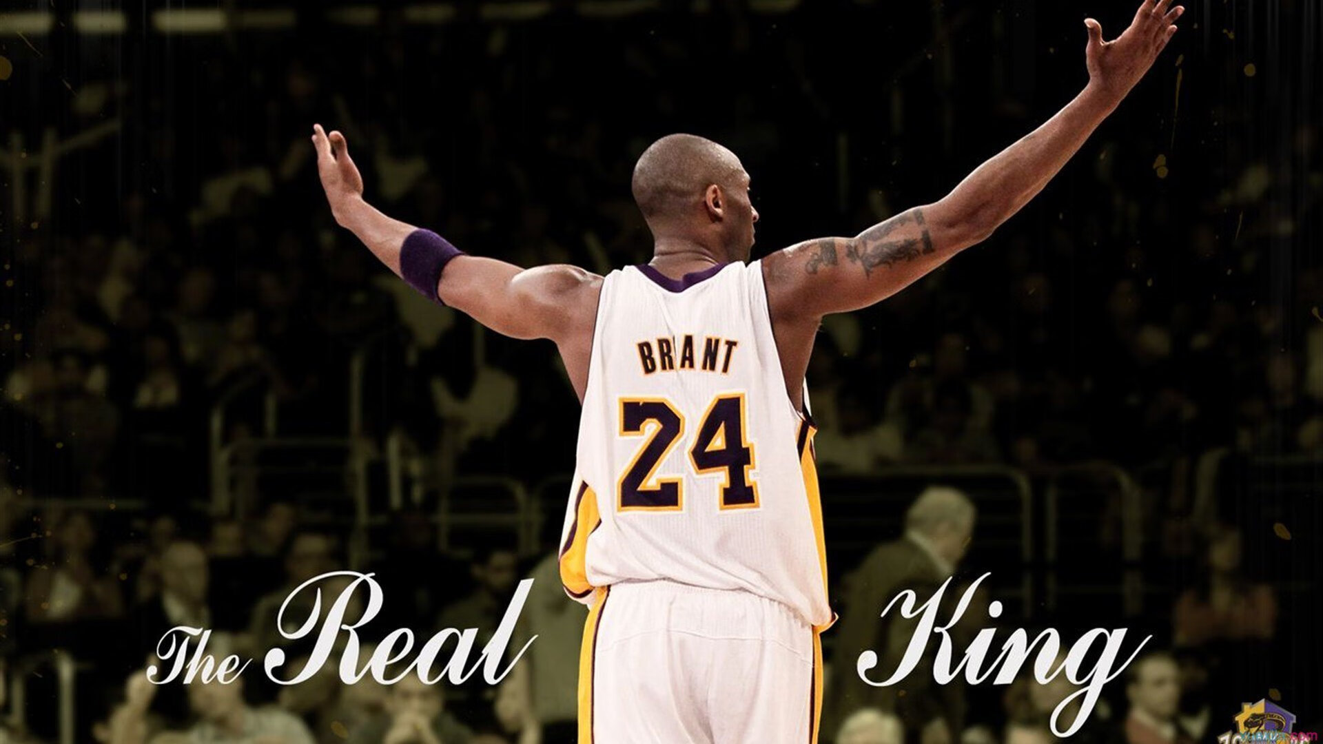 赛季终极冲刺，看谁能笑到最后！，终极技能新赛季获得