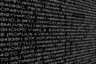 Sgroi 率队实现二次进攻节奏扭转，二次进攻时间